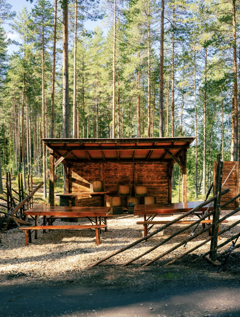 Puusta rakennettu katettu ohjelmalava ja istumapaikkoja ulkona metsässä.